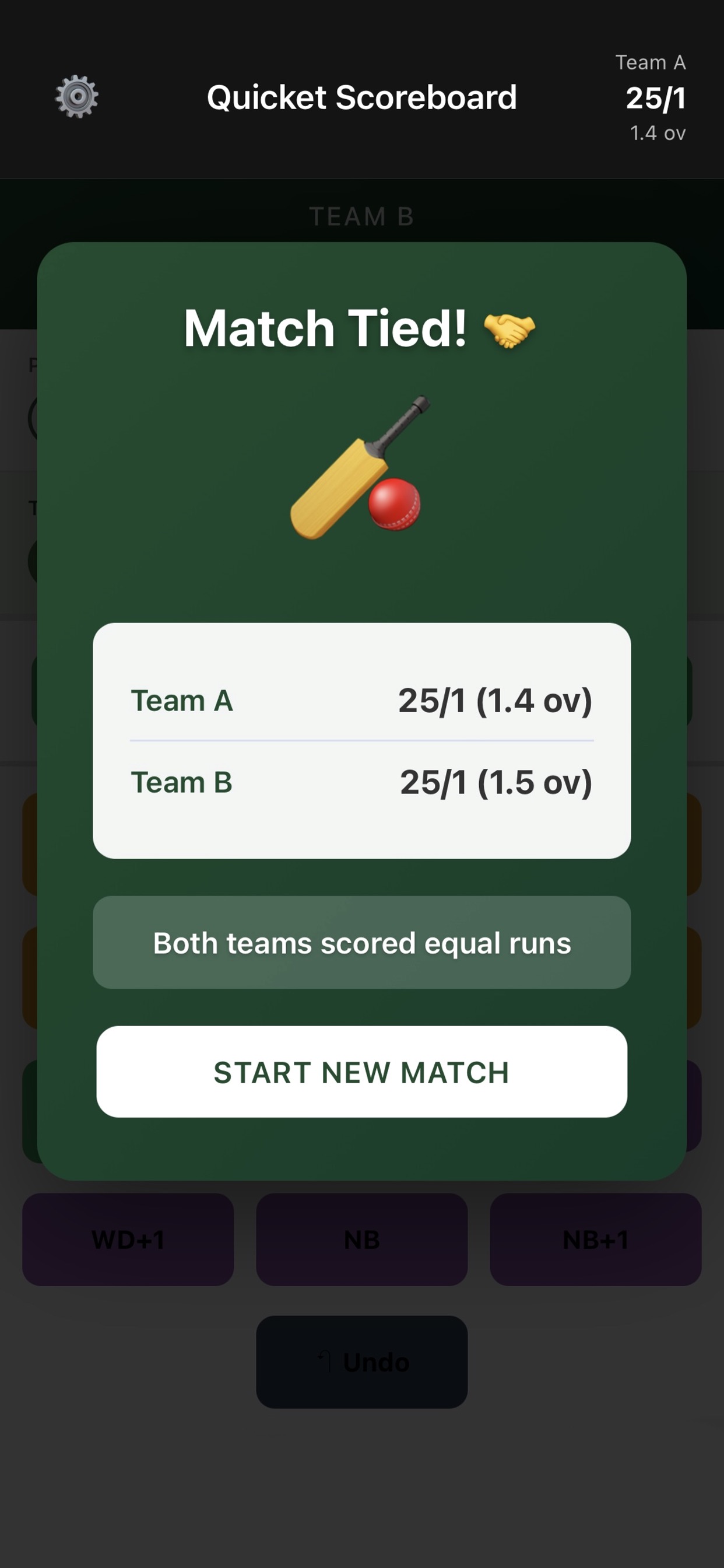 Match Summary